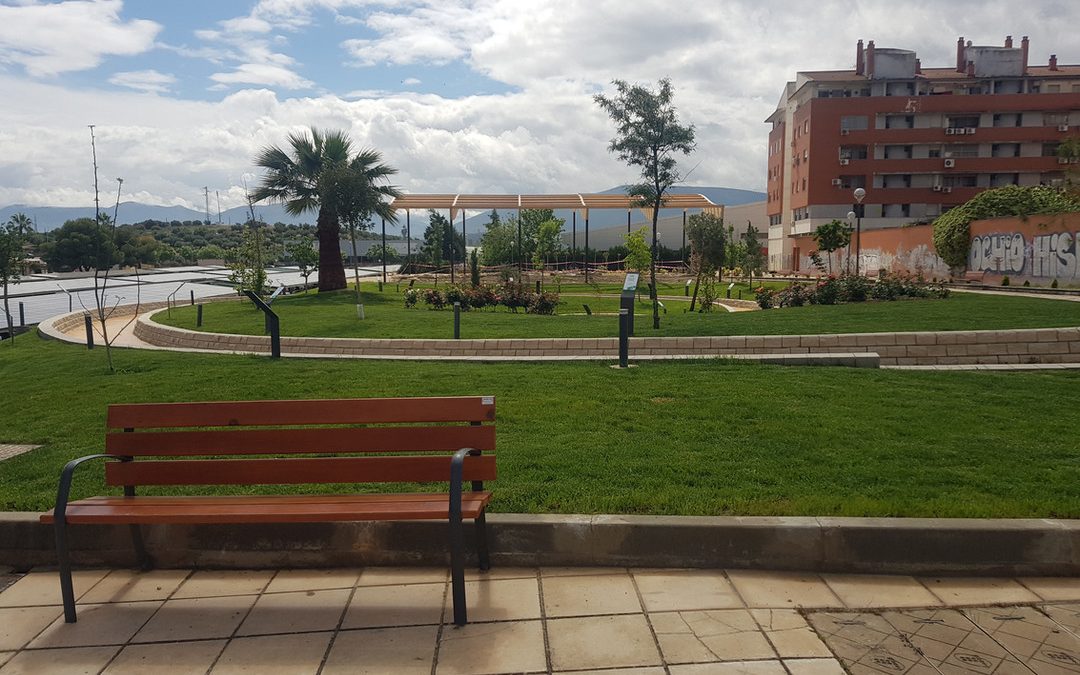 Bosque 25 Aniversario Universidad