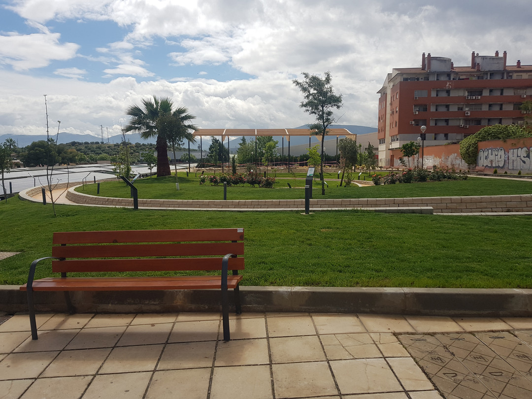 Bosque 25 Aniversario Universidad